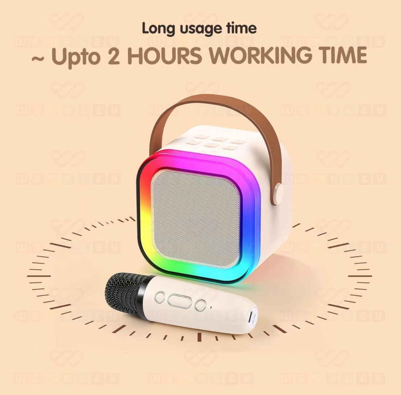 Rainbow LED Wireless Karaoke Speaker with Mic | 5 Voice Effects | Bluetooth 5.3 | Portable RGB Soundbox