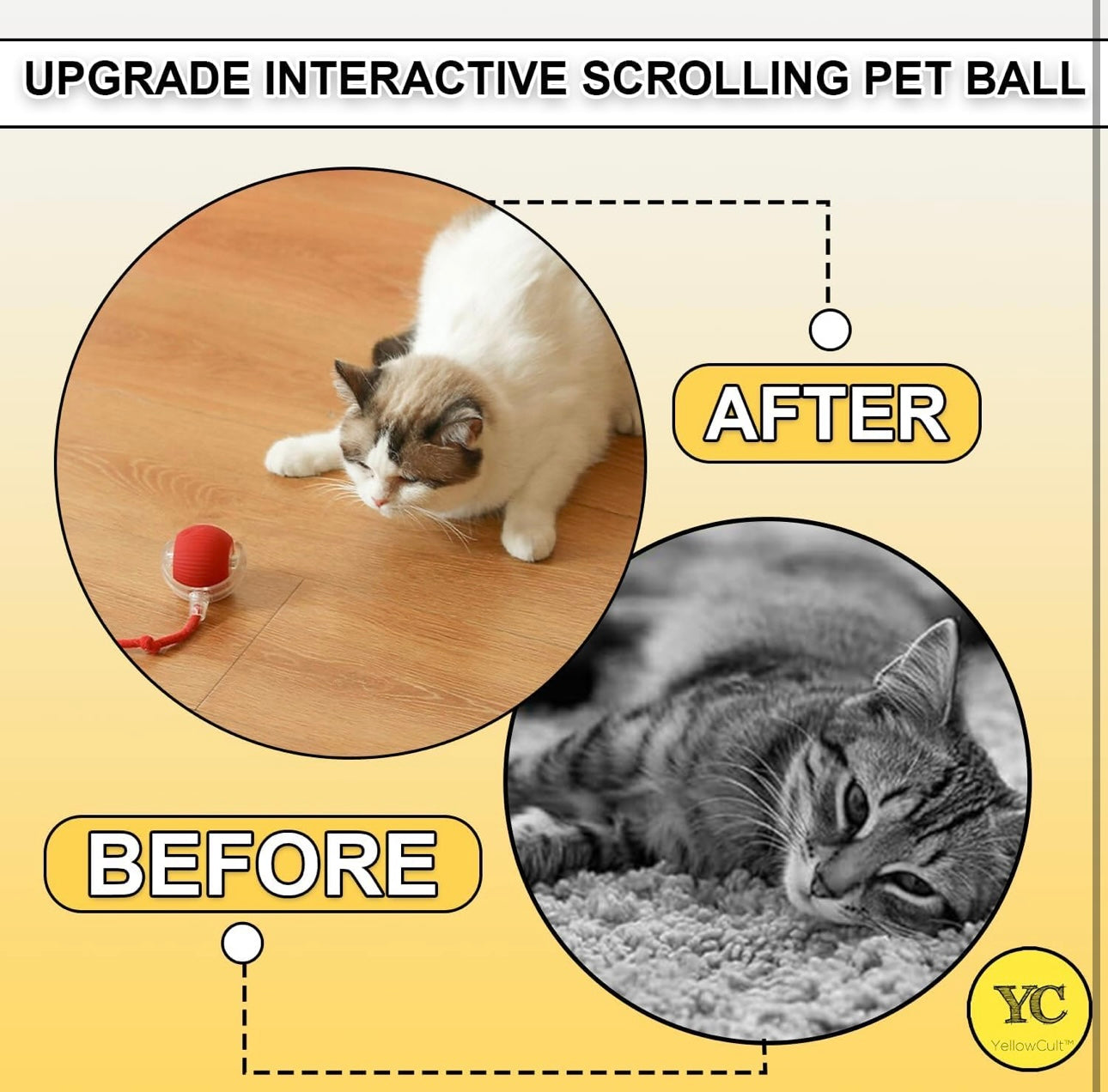 Pet Dancing Ball ā Automatic Rolling Pet Toy for Cats & Dogs