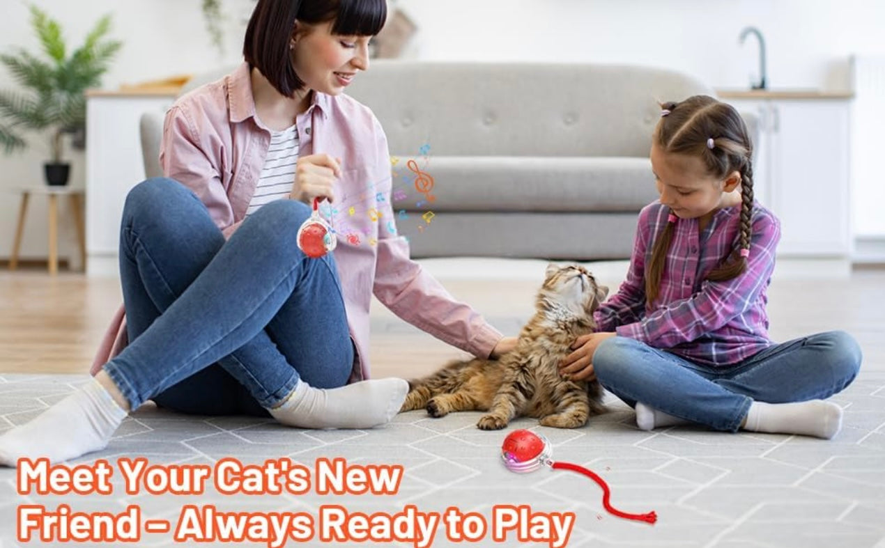 Pet Dancing Ball ā Automatic Rolling Pet Toy for Cats & Dogs