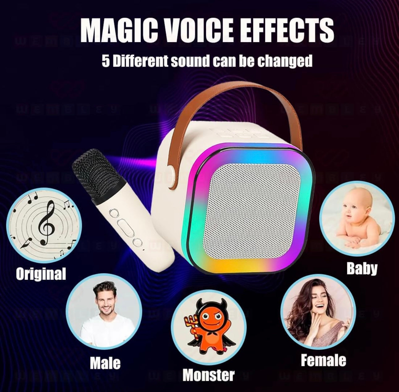 Rainbow LED Wireless Karaoke Speaker with Mic | 5 Voice Effects | Bluetooth 5.3 | Portable RGB Soundbox